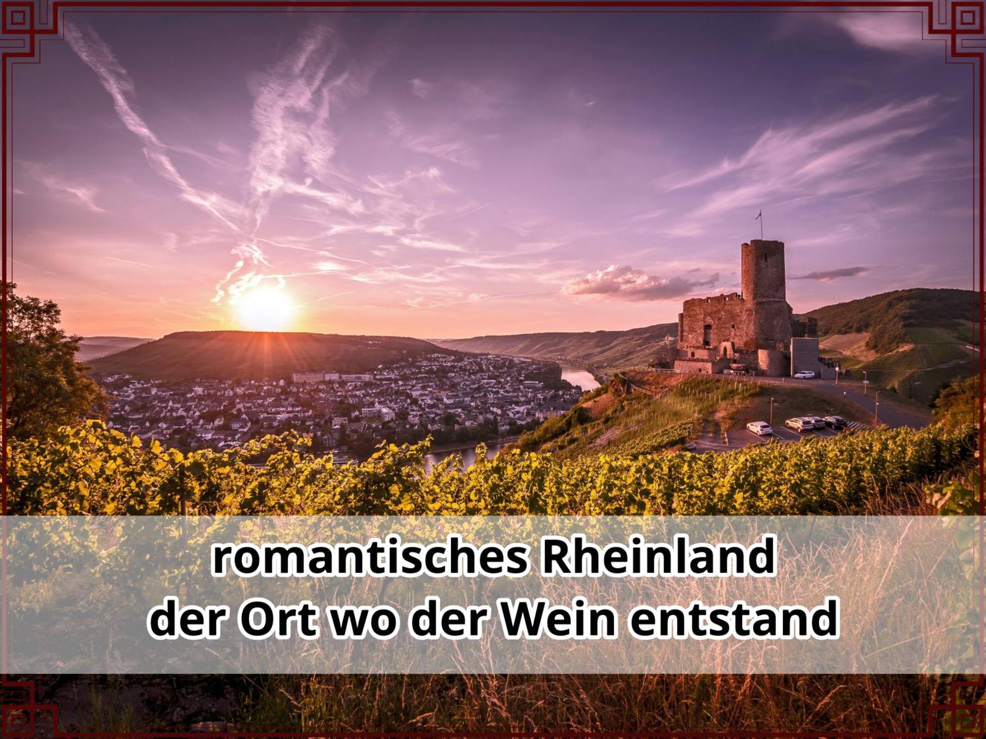 Smallsaigon Apartment Mit Guter Anbindung Zwischen Mosel Und Rhein Leiningen Zewnętrze zdjęcie